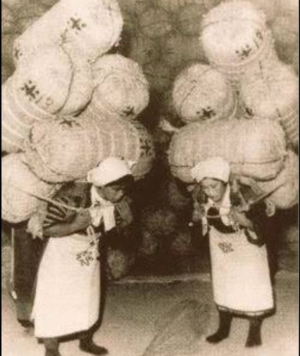 An archival photograph from Japan: two women each carrying a tall stack of straw rice bales on their backs.